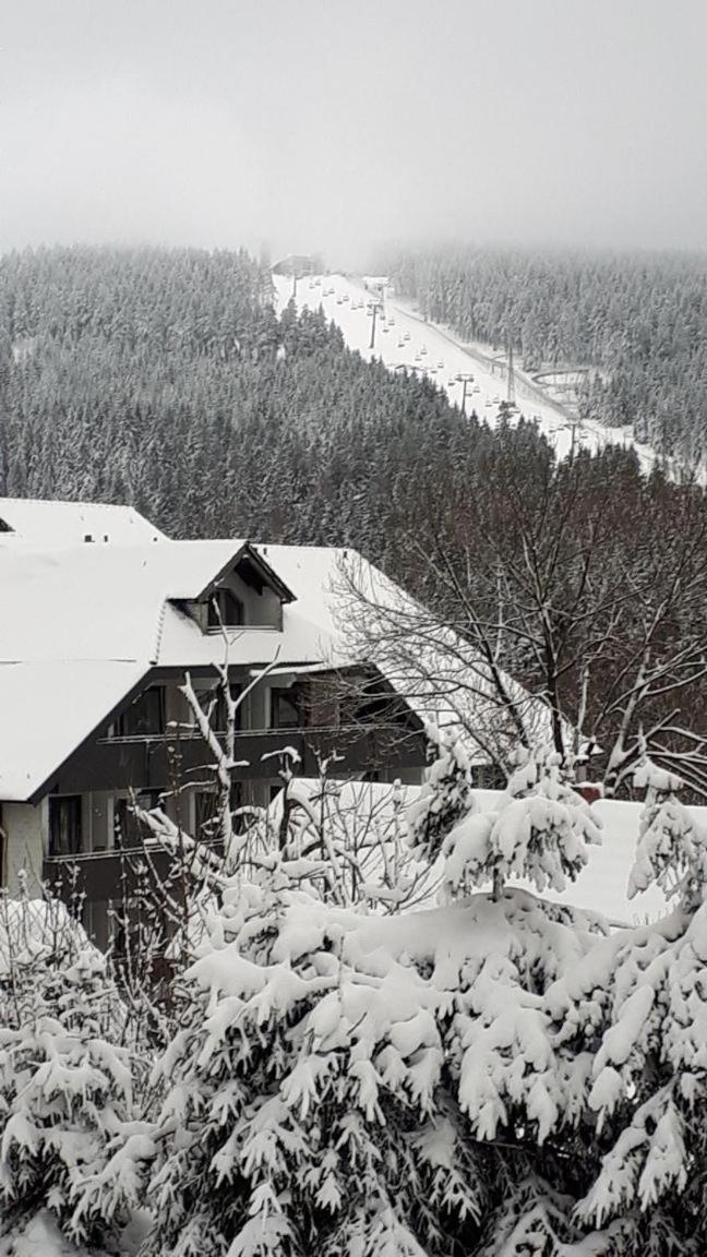 Ferienwohnung Steffens Hahnenklee Wohnung 25 ゴスラー エクステリア 写真