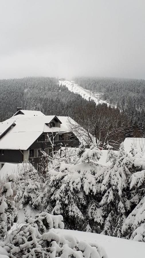 Ferienwohnung Steffens Hahnenklee Wohnung 25 ゴスラー エクステリア 写真