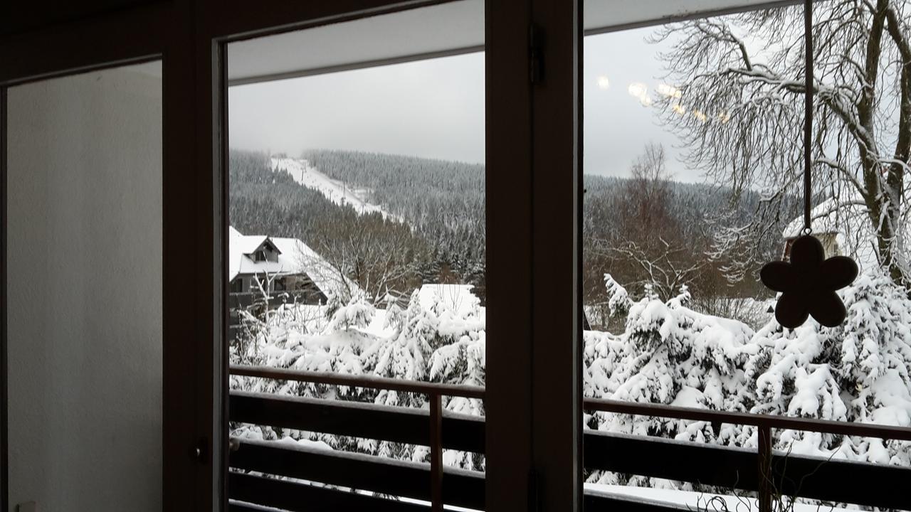 Ferienwohnung Steffens Hahnenklee Wohnung 25 ゴスラー エクステリア 写真